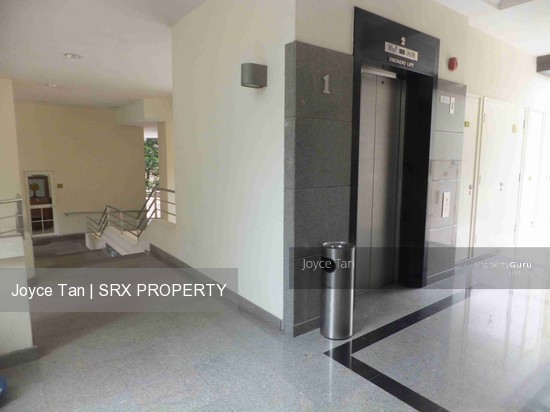 Patent Place (D21), Condominium #178017052
